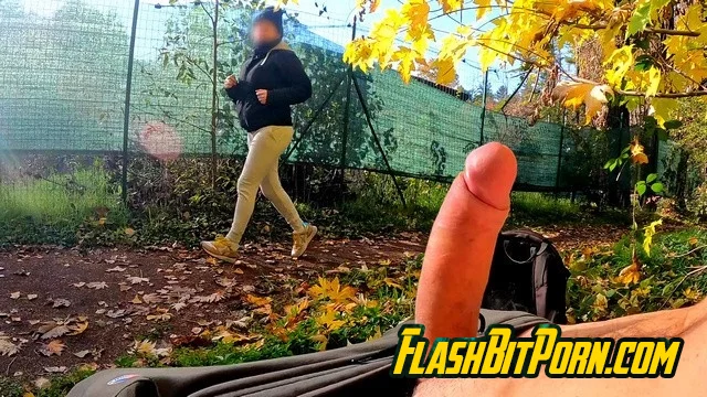 DICKFLASH in the PARK: a slutty milf can't resist to give a me a hard titty fuck