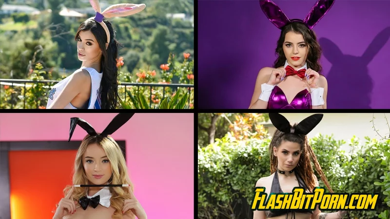 Bunny Babes Compilation